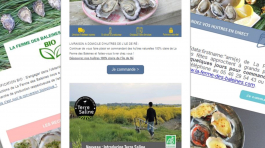Campagne e-marketing pour La Ferme des Baleines