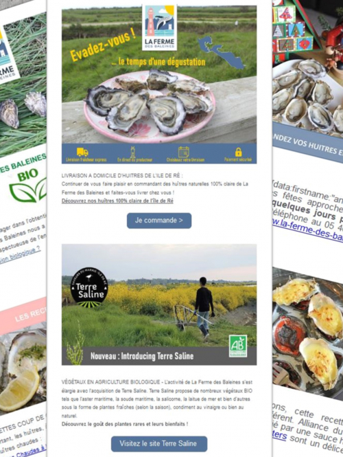 Campagne e-marketing pour La Ferme des Baleines