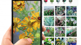 Gestion des Réseaux Sociaux pour La Serre des Ouches