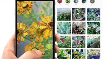 Gestion des Réseaux Sociaux pour La Serre des Ouches