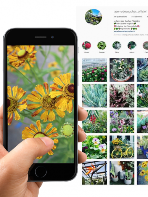 Gestion des Réseaux Sociaux pour La Serre des Ouches