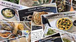 Recettes Créatives : rédaction et photographie par Totem E-Marketing Ile de Ré