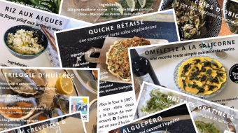 Recettes Créatives : rédaction et photographie par Totem E-Marketing Ile de Ré