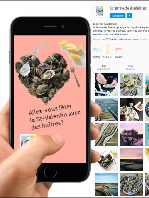 Community Management pour La Ferme des Baleines par Totem Communication Marketing Ile de Ré