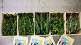 Packaging La Ferme des Baleines par Totem Communication Marketing Ile de Ré