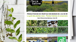 Affiche Producteur Terre Saline par Totem Communication Marketing Ile de Ré