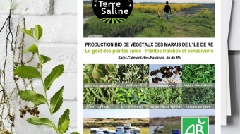 Affiche Producteur Terre Saline par Totem Communication Marketing Ile de Ré