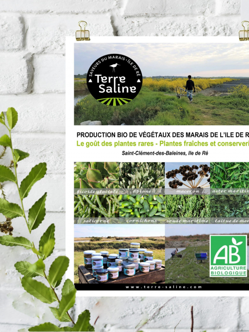 Affiche Producteur Terre Saline par Totem Communication Marketing Ile de Ré