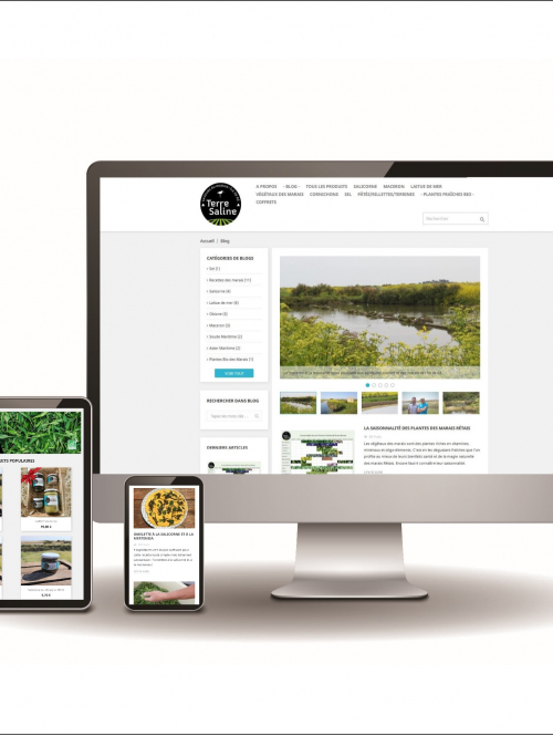 Site E-commerce et Blog Terre Saline par Totem Communication Marketing Ile de Ré