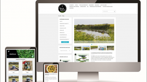 Site E-commerce et Blog Terre Saline par Totem Communication Marketing Ile de Ré