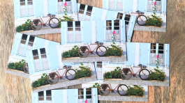 Carte de Visite Key West