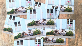 Carte de Visite Key West