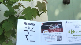 Réalisation d'encart publicitaire TOTEM E-marketing Ile de Ré