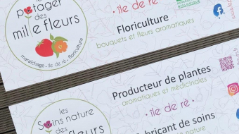 Réalisation de bannière Graphisme TOTEM E-marketing Ile de Ré