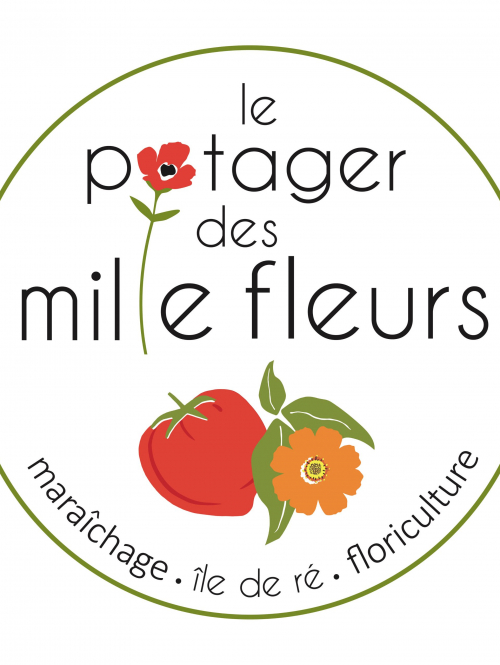 Identité visuelle TOTEM E-marketing Ile de Ré